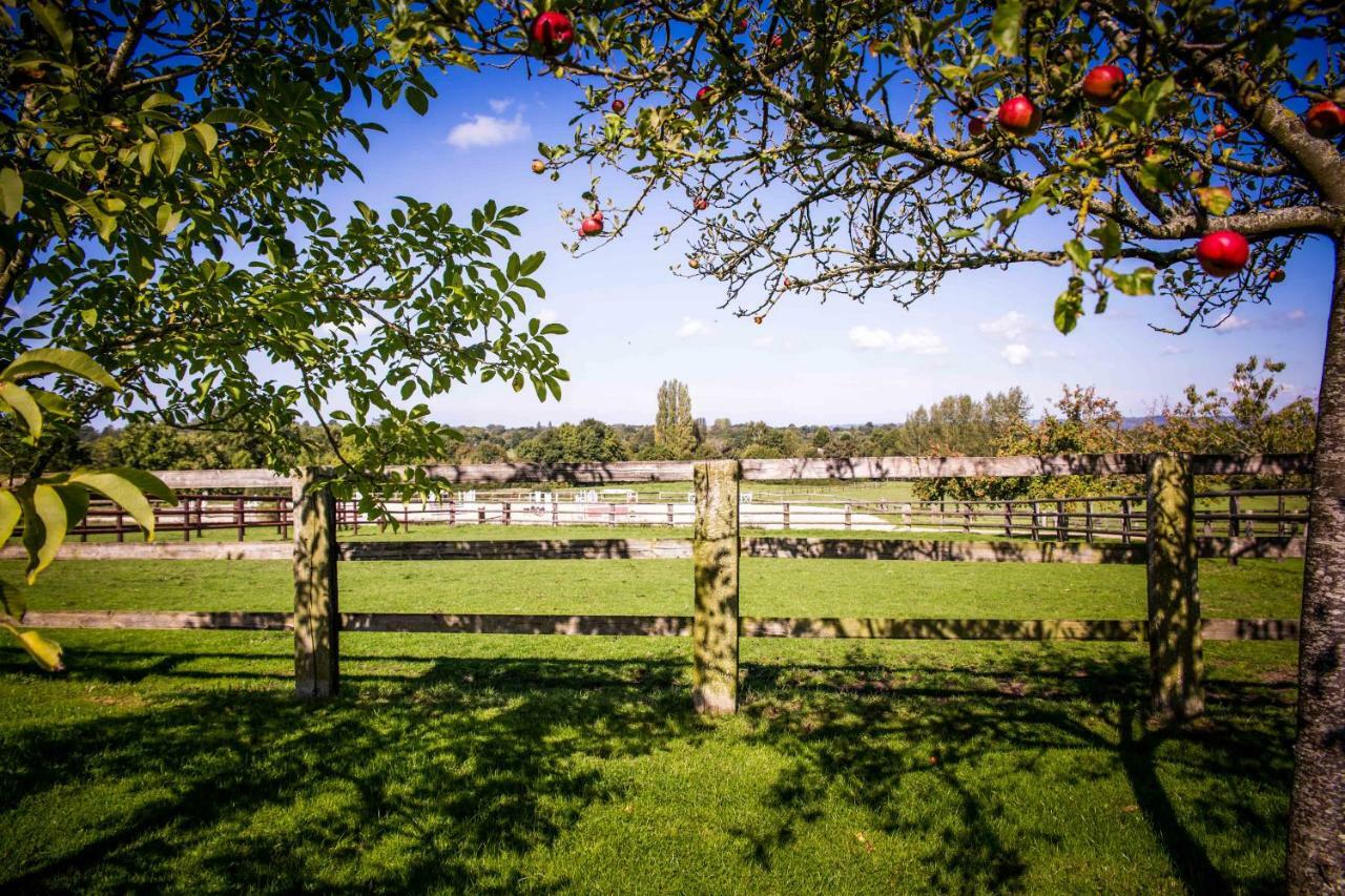 Les Maisons De Charlotte Glanville Eksteriør bilde